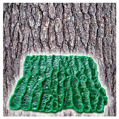 Polyurethane mat stamp - polyurethane, pine
